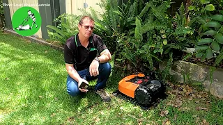 Robot Lawn Mowers Australia - Worx Landroid Why I Still Have this Robot Mower