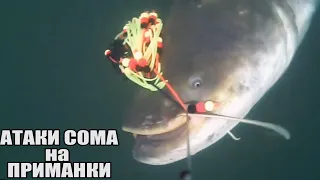 Рыбалка🎣 ЗРЕЛИЩНЫЕ ПОКЛЕВКИ Больших СОМОВ на разные приманки🐟 Карася, Окуня🐟 Подводная съёмка