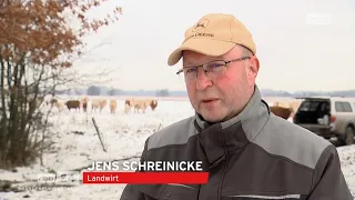 Erleichterter Wolfsabschuss - Noch lange nicht genug!