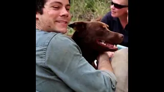 dylan O'brien with a cute dog🐕