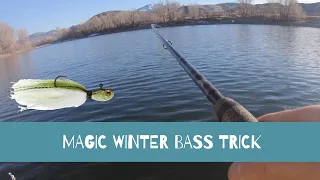 MAGIC Winter Bass Fishing secret CATCHING TONS of BASS & Trout!