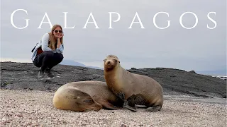 Galapagos Islands Cruise Part 1 - Best Snorkeling in the World!