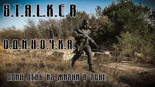 STALKER - Одиночка (Один день в Зоне) Короткометражный фильм