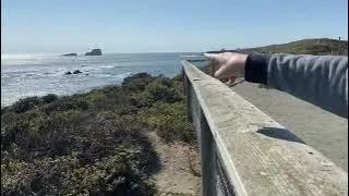 Elephant Seal Vista Point….San Simeon California