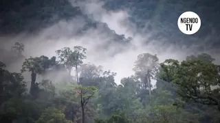 MSITU WA KONGO DRC na MA AJABU ZAKE UTA SHANGAA....