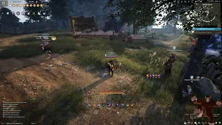 Bdo Pvp