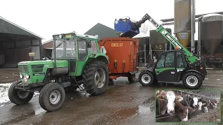 Feeding cattle with Deutz-Fahr