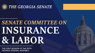 2/22/2023 - Senate Committee on Insurance and Labor