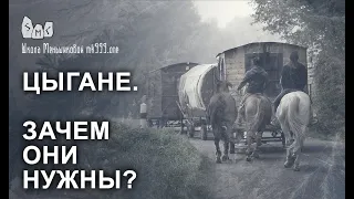 Цыгане. Зачем они нужны? - Продолжение разговора