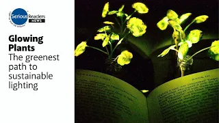 Glowing Plants - The greenest path to sustainable lighting