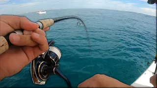 Fishing Ponce Inlet For Mangrove Snapper