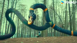 Intense Battle: Mutant Snake vs. Tyrannosaurus Rex! | Metamorphosis | YOUKU MONSTER MOVIE