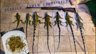 Hunting for Iguana in Trinidad Catch, Clean & Cook‼️🇹🇹 #trinidadandtobago #hunting #iguana