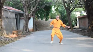 Wuzuquan (Five Ancestor Boxing) southern shaolin martial arts style 五祖拳