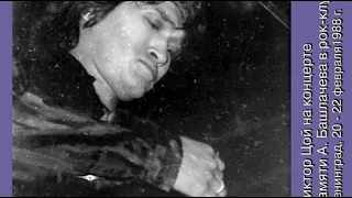 Виктор Цой на концерте памяти Александра Башлачёва (Ленинград, рок-клуб, 20 февраля 1988 года)