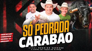 CARABAO SÓ PEDRADA NA EXCLUSIVE DJ SILVINHO