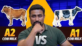 A1 vs A2 Milk 🥛- The Real Difference & Why A2 milk is Better ??