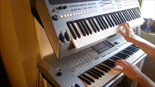 The Piano                  Trance Melody  PSR S670