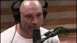 Joe Rogan - Social Currency in Shame Culture