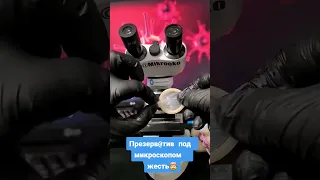 Презерватив под микроскопом