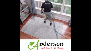 Area Rug cleaning right in your own home.