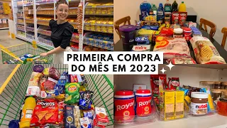 PRIMEIRA COMPRA DO MÊS EM 2023 ✨ Valores & organização