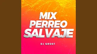 Mix Perreo Salvaje