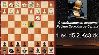 Скандинавская Защита Редкие 2е ходы - 2.Kc3 d4