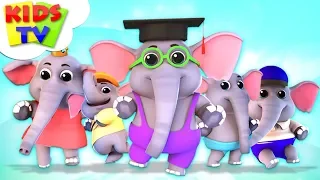 Five Little Elephants | Junior Squad Cartoons | Songs for Babies & Kids Rhymes - Kids TV