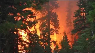 Forest Threats: Forest Fire