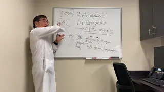 Retrograde and anterograde optic atrophy