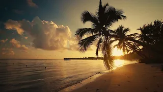 Relaxing Palm Trees Sunset Beach Scenery & Sounds, Birds & Nature Sounds, White Noise, 4K-HD, ASMR