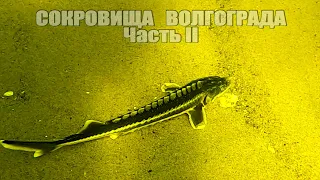 Подводная Охота " СОКРОВИЩА ВОЛГОГРАДА II ". Большие Стаи Рыбы! Два дня охоты на Волге, Сезон 2023!