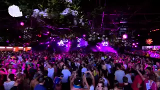 Tomorrowland 2013 - Afrojack