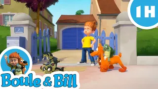 🐈 Boule et Bill s'amusent avec Caporal 😾- Nouvelle compilation Boule et Bill FR