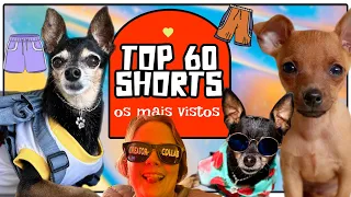 OS 60 MELHORES SHORTS DE TODA A CARREIRA DOS PEQUENOS PEQUENOS PRÍNCIPES