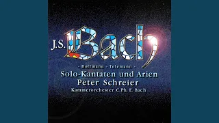 J.S. Bach: Meine Seufzer, meine Tränen, Cantata BWV 13 - Aria: Meine Seufzer, meine Tränen