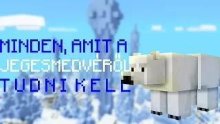 Minecraft: Minden, amit a Jegesmedvéről tudni kell!