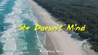 She Doesn't Mind - ( Reggae Remix )