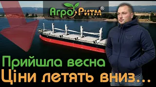 ВЕСНА:ЦІНИ ЛЕТЯТЬ ВНИЗ.ПРОГНОЗ ЦІН НА УРОЖАЙ 2023.