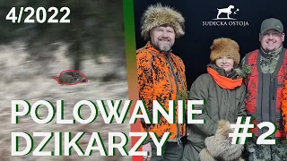 SUDECKA OSTOJA 4/2022 Polowanie na dziki. Driven hunt. Hunting in Poland. Wild jagen. Wildboars Hunt