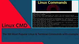 The 100 Most Popular Linux & Terminal Commands   Full Course for Beginners || Devops linux  command