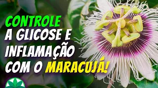 Controle a glicose e inflamação com o MARACUJÁ!