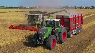 Claas Lexion 760 Terra Trac | Fendt 1050 Profi Plus & Feltrina 4 assi | Bazzan | Barley Harvest