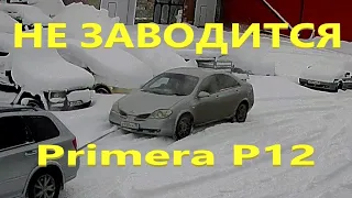 Nissan Primera не заводится