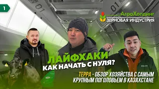 ВСЁ О ЖИВОТНОВОДСТВЕ | ГДЕ САМОЕ КРУПНОЕ ПОГОЛОВЬЕ СКОТА В КАЗАХСТАНЕ? | КАК НАЧАТЬ РАЗВОДИТЬ СКОТ?