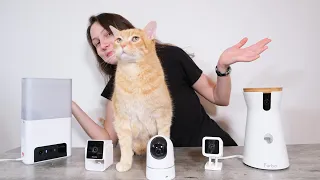 The Top 5 Best Cat Cameras: Are Pet Cams Worth It?