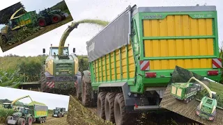 Ensilage de maïs 2023 - New Krone Big X  & 9 tracteurs Fendt - X.Schoonbroodt