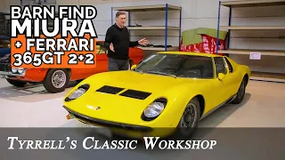 Lamborghini Miura S & Ferrari 365 GT 2+2 | Welcome to Tyrrell's Classic Workshop