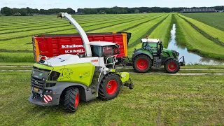 Grass Silage | 2x Claas Jaguar 950 + 4x Fendt + 2x Volvo | Schimmel | 2023